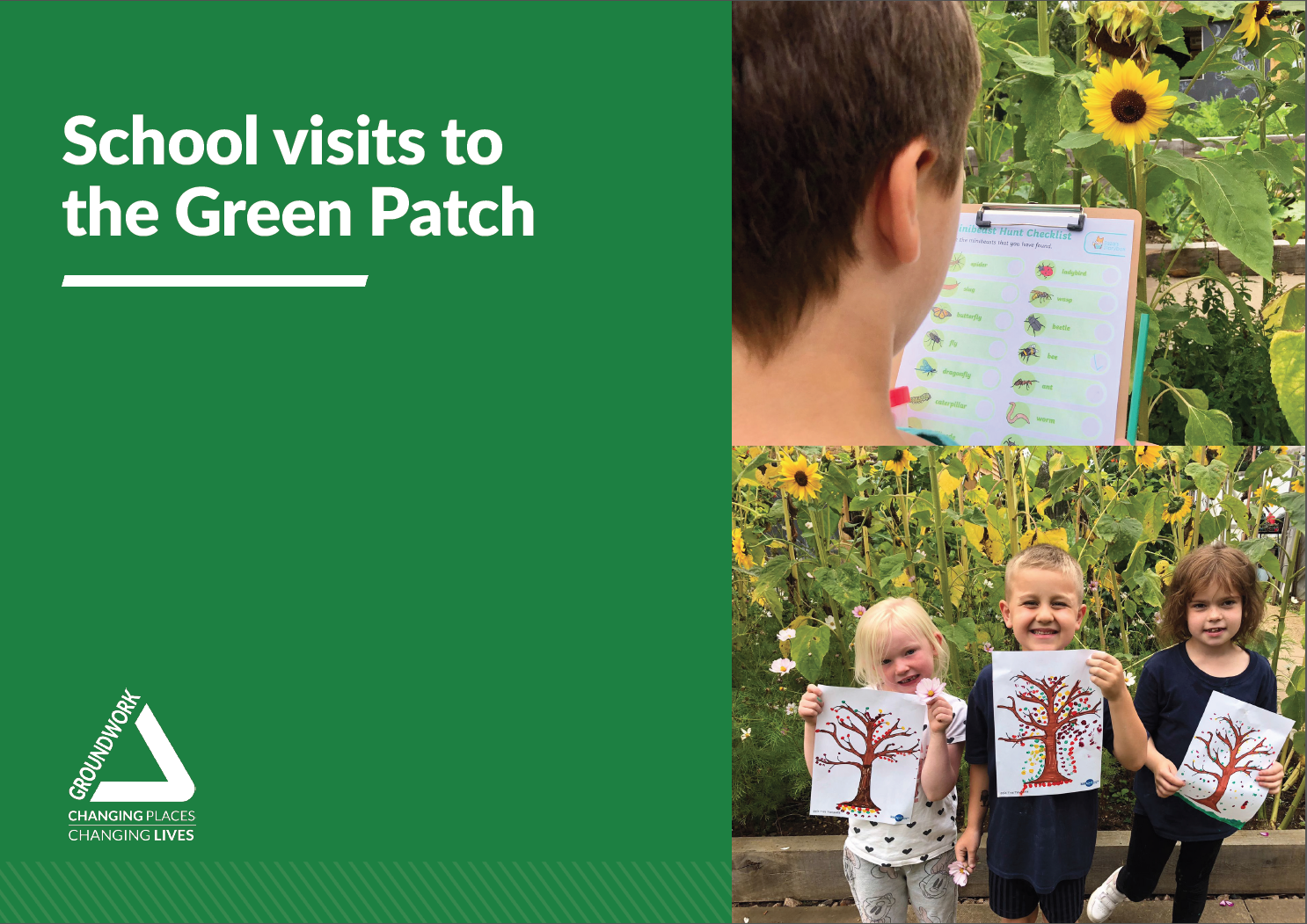 School visits to the Green Patch